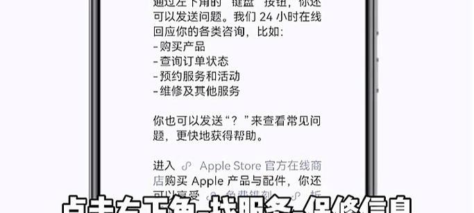 苹果电脑开箱验机教程（详细指导新手如何正确开箱验机苹果电脑，轻松上手使用）